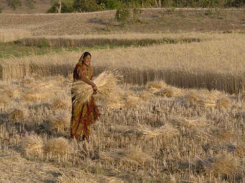 Climate South Asia Prototype